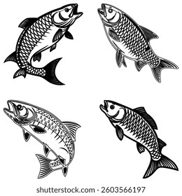 Bundle fish line art illustrator eps 10