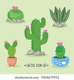 bundle of five cactus plants and lettering set icons vector illustration design