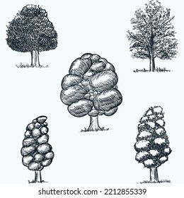 bundle five Hand drawn abstract imaginary plant tree