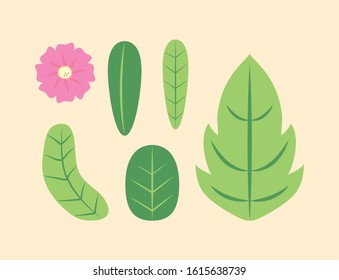 bundle of flowers and leafs spring season icons vector illustration design