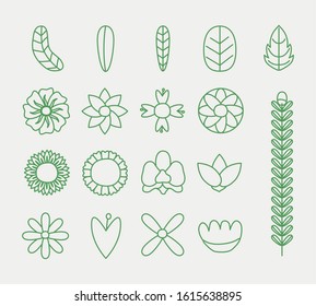 bundle of flowers and leafs spring season icons vector illustration design