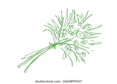 Ein Bündel von Blumen Skizze doodle Art Linien  