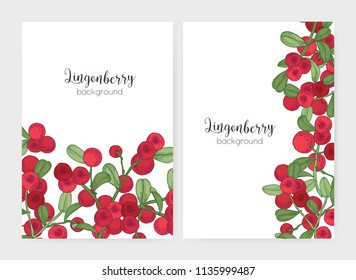 Bundle of flyer or poster templates decorated with lingonberry sprigs hand drawn on white background. Set of cards with ripe boreal berries and leaves. Colorful botanical vector illustration.