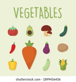 bundle of food vegetables icons on a green background vector illustration design