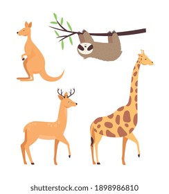 conjunto de cuatro animales iconos de conjunto salvaje diseño de ilustración vectorial