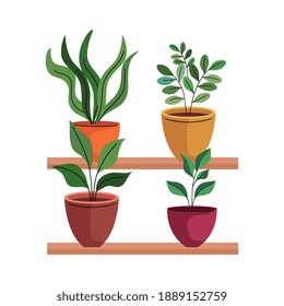 Bundle Of Four House Plants In Ceramic Pots Over Shelf Vector Illustration Design