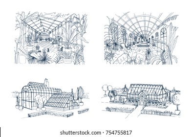 Bundle of freehand drawings of greenhouses full of jungle plants. Set of sketches of glasshouses with palm exotic trees growing in pots. Interior and exterior views. Monochrome vector illustration. svg