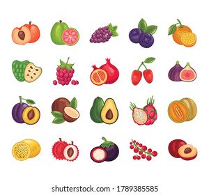 bundle of fresh fruits set icons vector illustration design