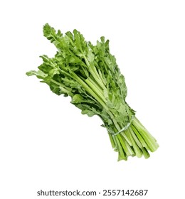A bundle of fresh green arugula, often used in salads and culinary dishes.