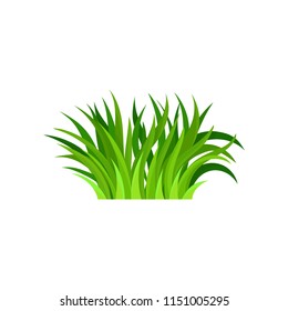 Bundle of fresh green grass. Nature and gardening theme. Bright herbal border. Flat vector design