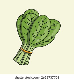 Bundle of fresh spinach leaves illustration