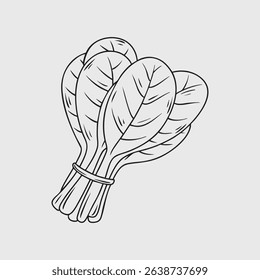 Bundle of fresh spinach leaves in a simple line drawing.