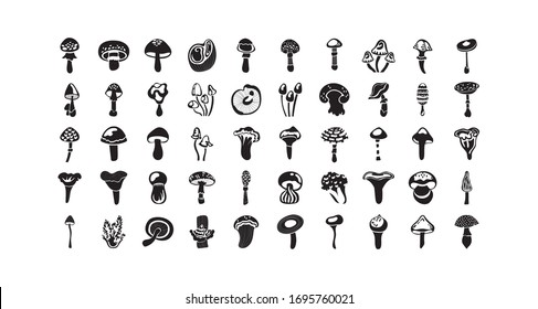 bundle of fungus set icons vector illustration design