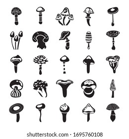 bundle of fungus set icons vector illustration design