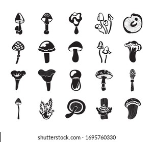 bundle of fungus set icons vector illustration design