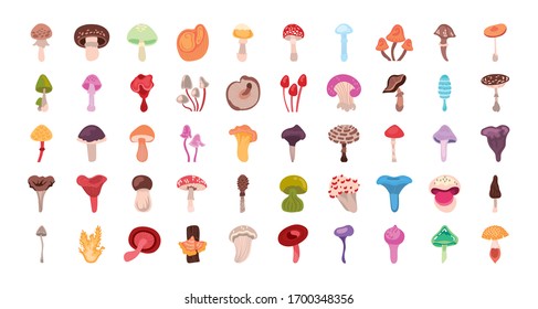 bundle of fungus set icons vector illustration design