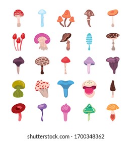 bundle of fungus set icons vector illustration design