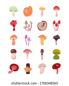 bundle of fungus set icons vector illustration design