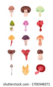 bundle of fungus set icons vector illustration design