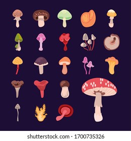 bundle of fungus set icons vector illustration design