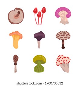 bundle of fungus set icons vector illustration design