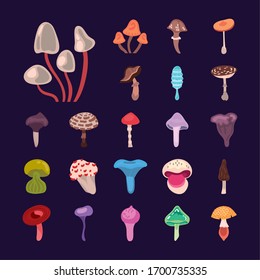 bundle of fungus set icons vector illustration design