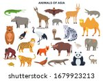 Bundle of funny wild animals and birds of Asia. Collection of exotic fauna of Asian continent. Set of cute cartoon characters isolated on white background. Colorful vector illustration in flat style.