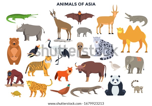 アジアのおかしな野生動物と鳥の束 アジア大陸の異国情緒あふれる動物群 白い背景にかわいい漫画のキャラクターのセット フラットスタイルのカラフルなベクターイラスト のベクター画像素材 ロイヤリティフリー