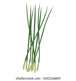 Bundle of garlic chives isolated on white background plant icon vector