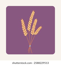 A bundle of golden wheat spikes tied with a blue ribbon on a purple background, Vector illustration, Perfect for agriculture, harvest, organic food, and rural-themed design