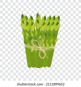 Bundle of green asparagus, isolated vector illustration.
