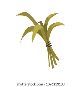 Bundle of green bamboo leaves tied with rope. Tropical plant. Vector element for promotional brochure or flyer of zen spa center
