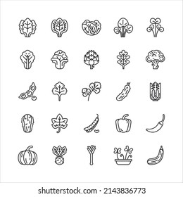 Bundle of green vegetable flat line icons collection. simple design vector.