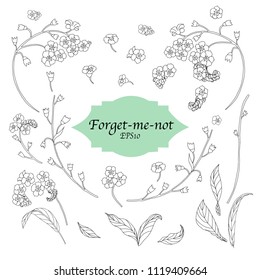 Bundle of Hand Drawn Forget-me-not Flowers Isolated on White Background for Custom Pattern Designs and Illustrations for All Media, Web, Textile and Wallpaper. Vector Designs.