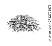 A bundle of hay. Black and white vector illustration drawn by hand. Animal feed. For the design of farm projects, as well as packaging, labels, and more.
