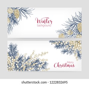 Bundle of horizontal botanical backgrounds with coniferous tree branches and cones, juniper berries and Merry Christmas lettering. Set of seasonal banner templates. Holiday vector illustration.