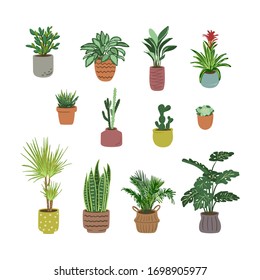 Bundle of house plants isolated on a white background. Decorative indoor plants growing in pots or planters. Color Vector illustration.