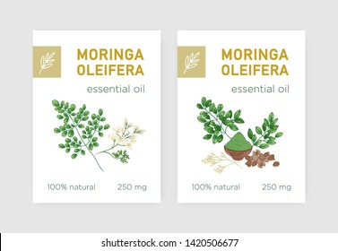 Bundle of labels with Miracle Tree or Moringa oleifera. Set of tags with edible herbaceous plant used in phytotherapy. Botanical vector illustration in realistic vintage style for natural product.