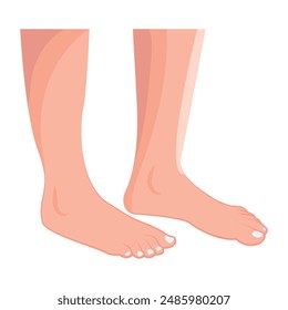 Bundle of Ladies Feet Flat Icons 

