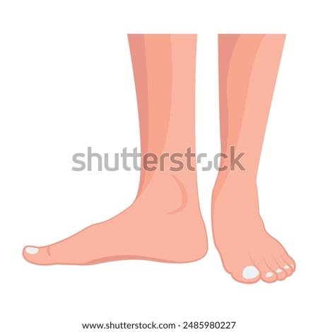 Bundle of Ladies Feet Flat Icons 


