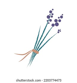 A Bundle Of Lavender On A White Background. Vector Illustration