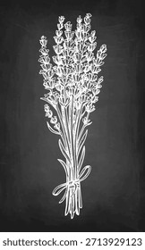 Paquete de lavanda atado con cordeles. Bosquejo de tiza sobre fondo de pizarra. Dibujado a mano ilustración vintage.
