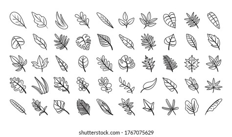 conjunto de hojas plantas conjunto iconos diseño de ilustraciones vectoriales