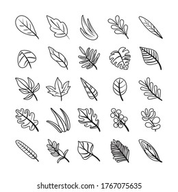 bundle of leafs plants set icons vector illustration design