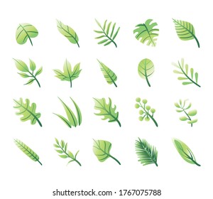 conjunto de hojas plantas conjunto iconos diseño de ilustraciones vectoriales