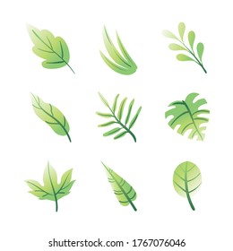 bundle of leafs plants set icons vector illustration design