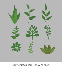 Bundle of leaves set design white background vector illustration