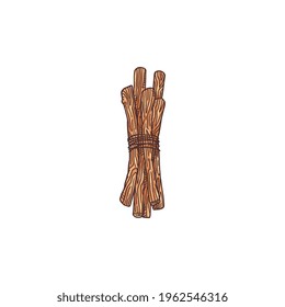 Bundle of licorice or liquorice root tied with rope, engraving etching style vector illustration isolated on white background. Vintage drawing of licorice sweet root.