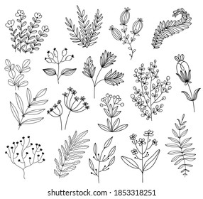 Bundle of linear field plants. Thin line contour symbols. Isolated vector illustrations.Botanical rustic trendy greenery vector illustration.
