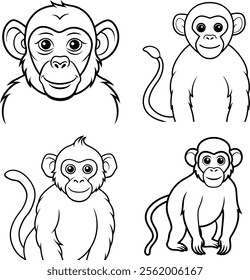 Bundle monkey line art and illustrator eps